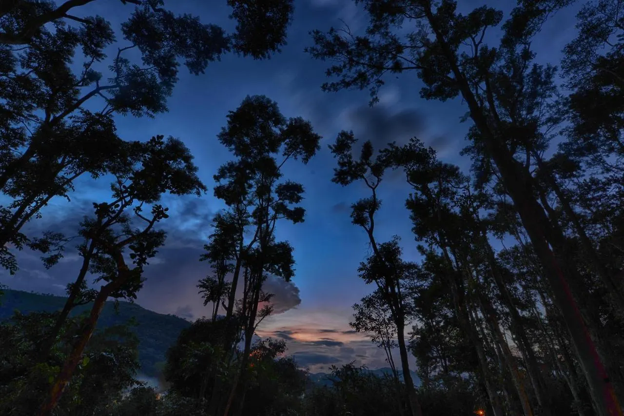 Greenwoods Resort, Thekkady 5*,